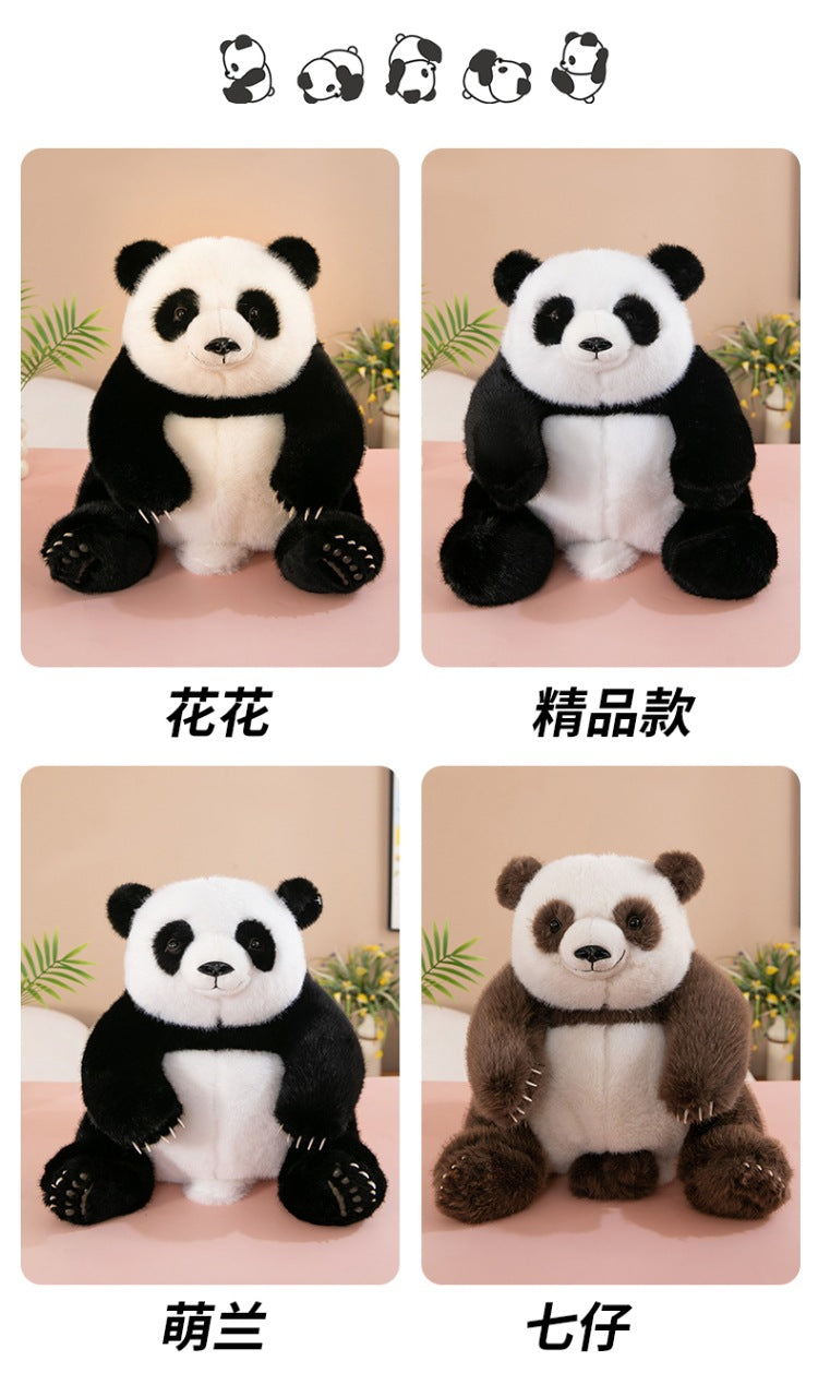 5ec8d50d-56d8-44b6-b15c-0336eaa36e21