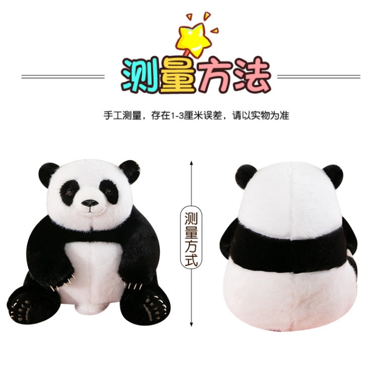 d32f802e-ba1b-404d-a0d9-cfe0ca59ae8f