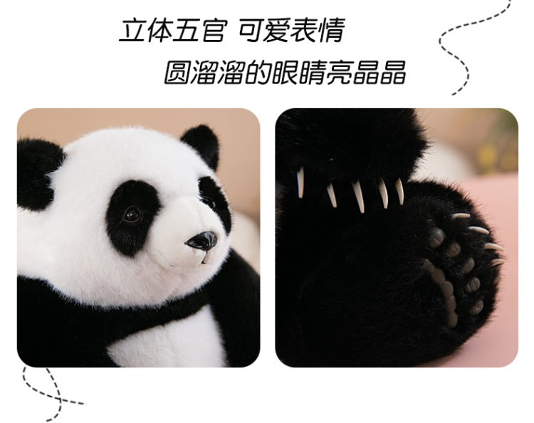 0d9543ab-c08f-4e97-97b4-7190642fe82f